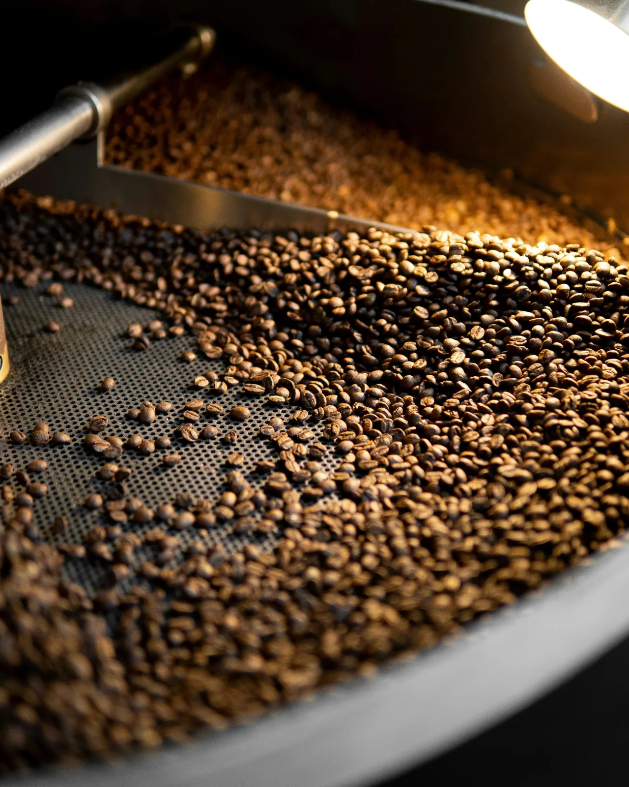 Signa Autoral · café co-criado
